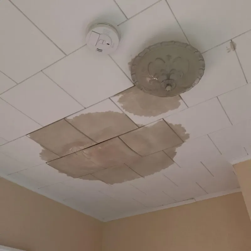 Ceiling Water Damage Repair in Fairview Shores, FL